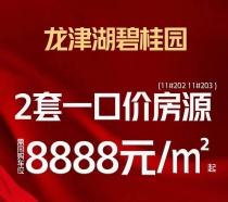 预售均价11000元/㎡！龙津湖旁又有68套房源入市，是它....